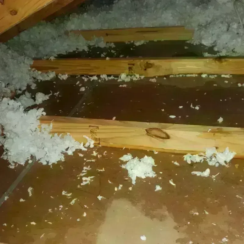 Attic Water Damage in Appomattox County, VA